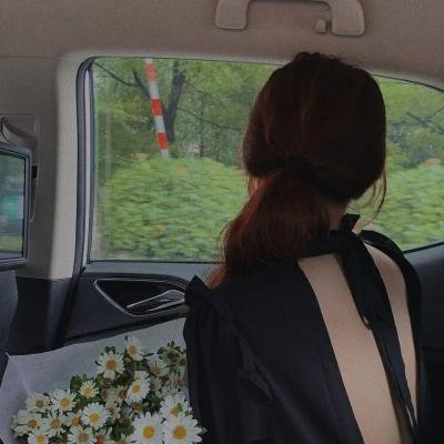堕落花封面
